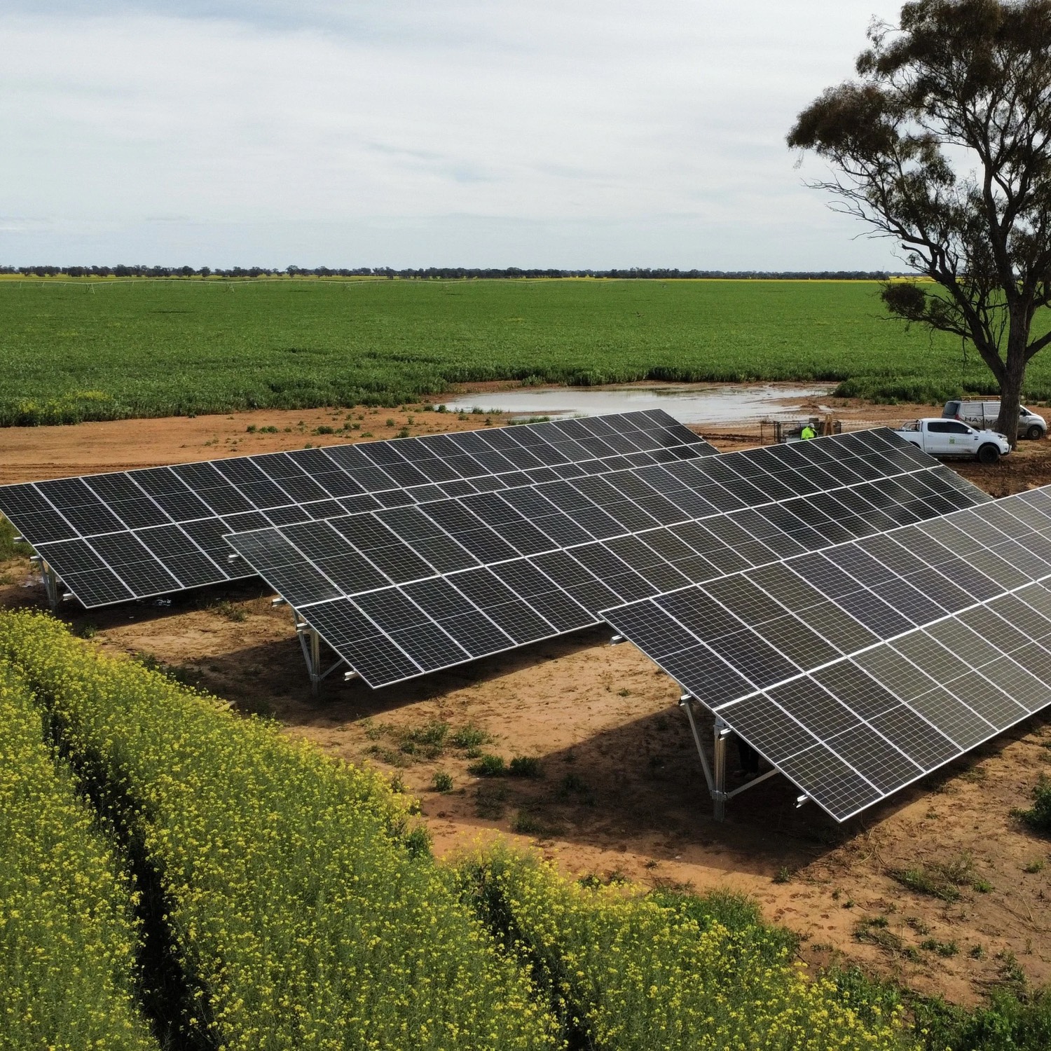 Ground-mounted solar array on a regional farm in Northern Victoria